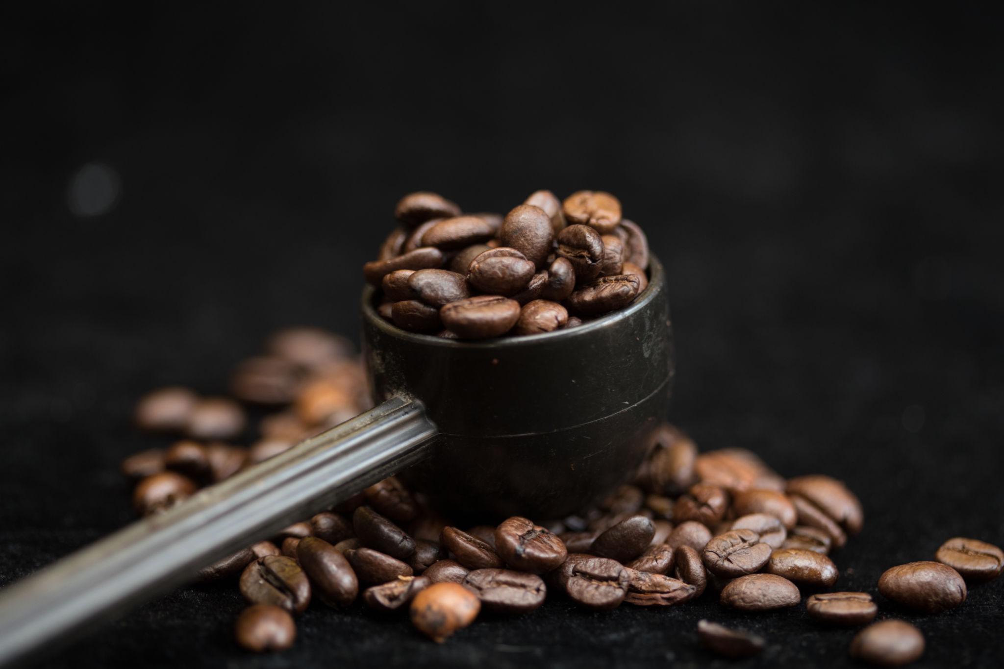 Light Roast vs Medium Roast vs Dark Roast Coffee: What Is the Difference?